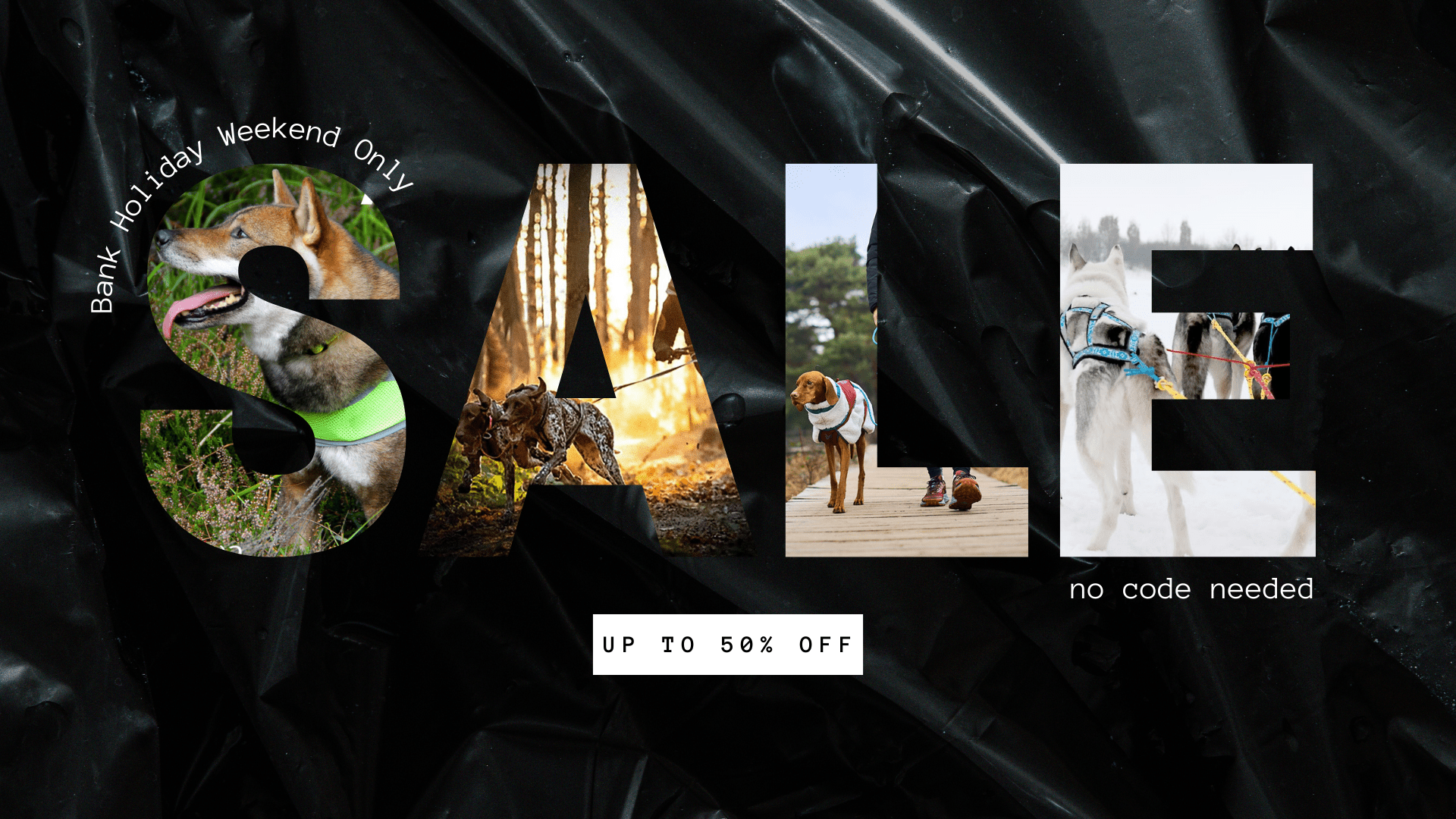 End of Season Flash Sale! - SnowPaw Store