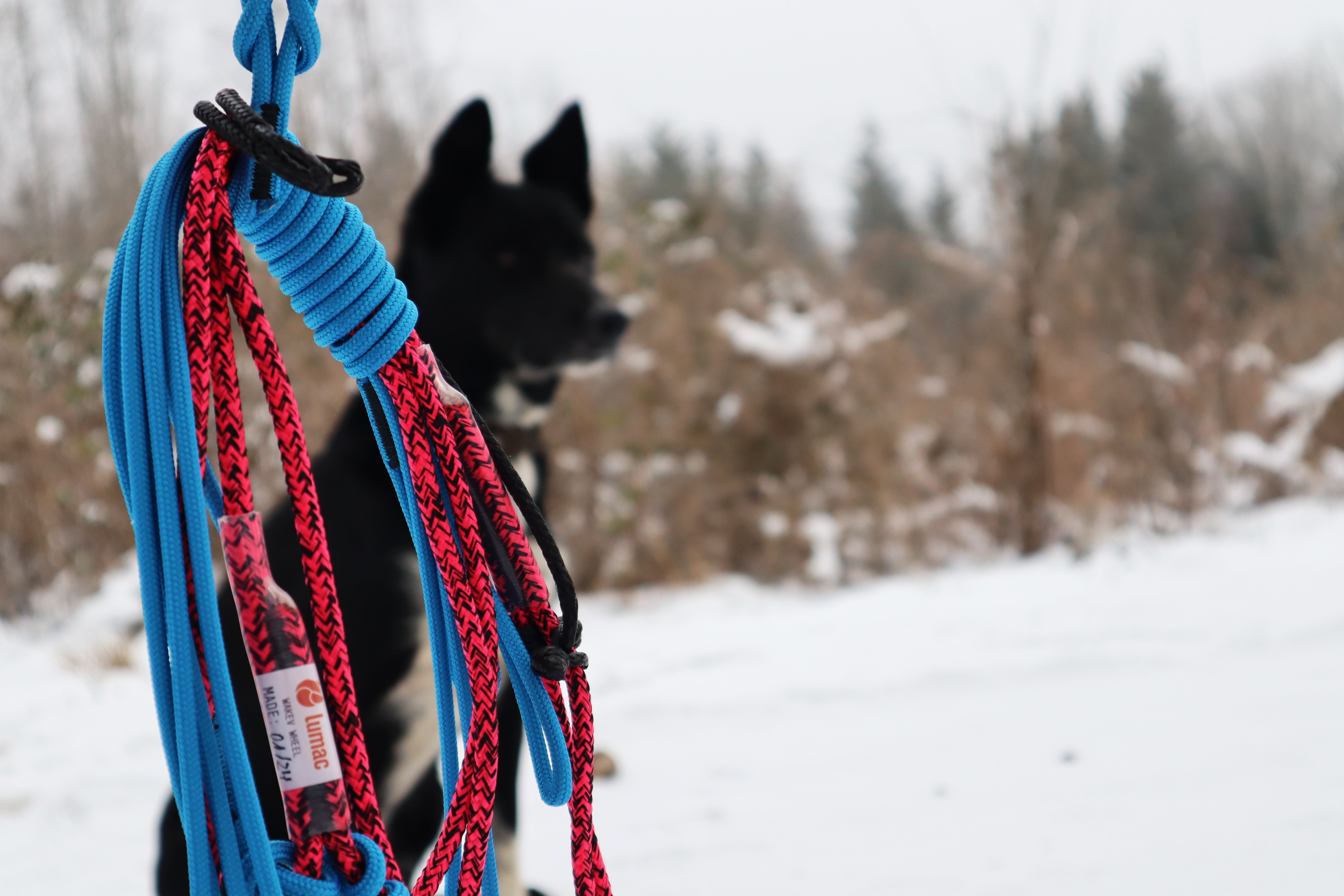 Lumac Team Lines - SnowPaw Store