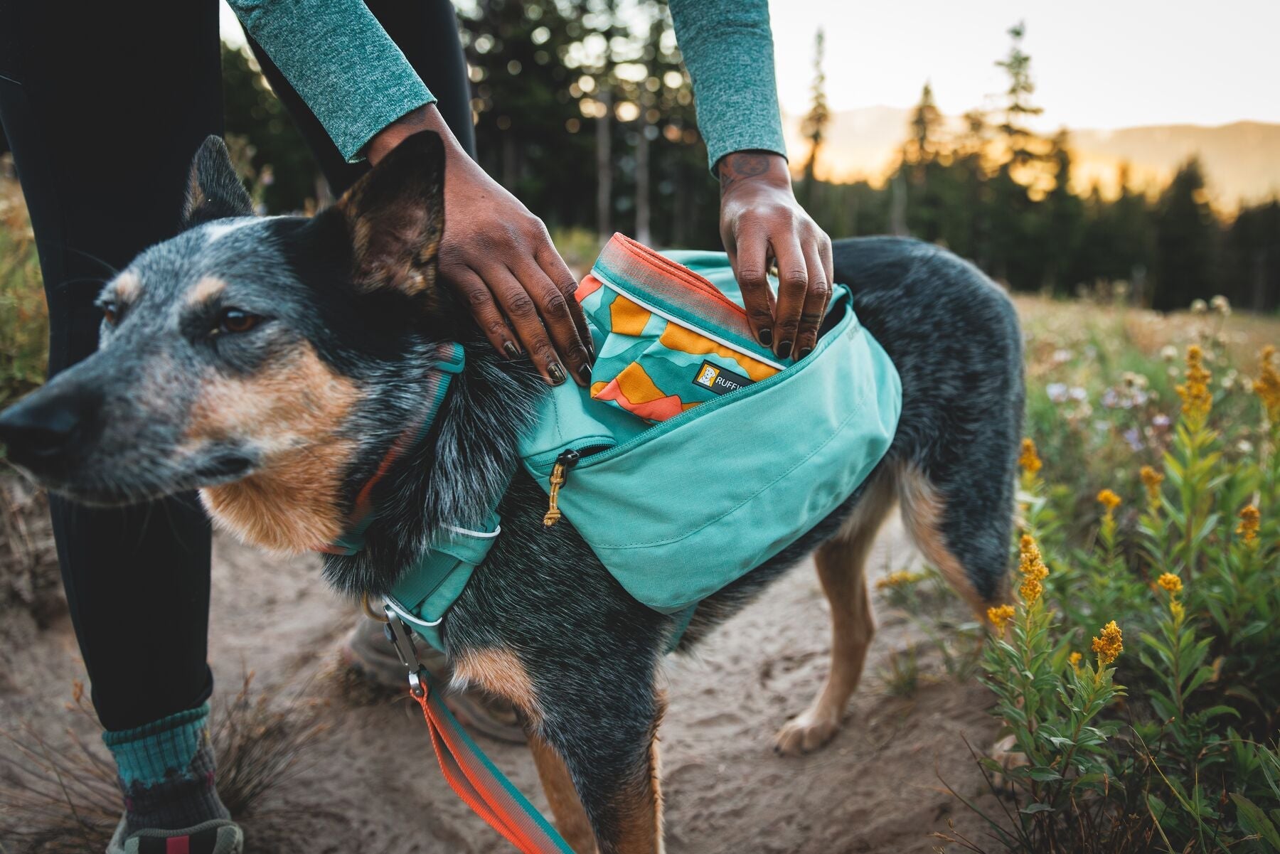 Ruffwear Backpacks - SnowPaw Store