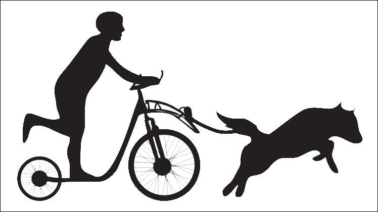 Scootering Lines - SnowPaw Store