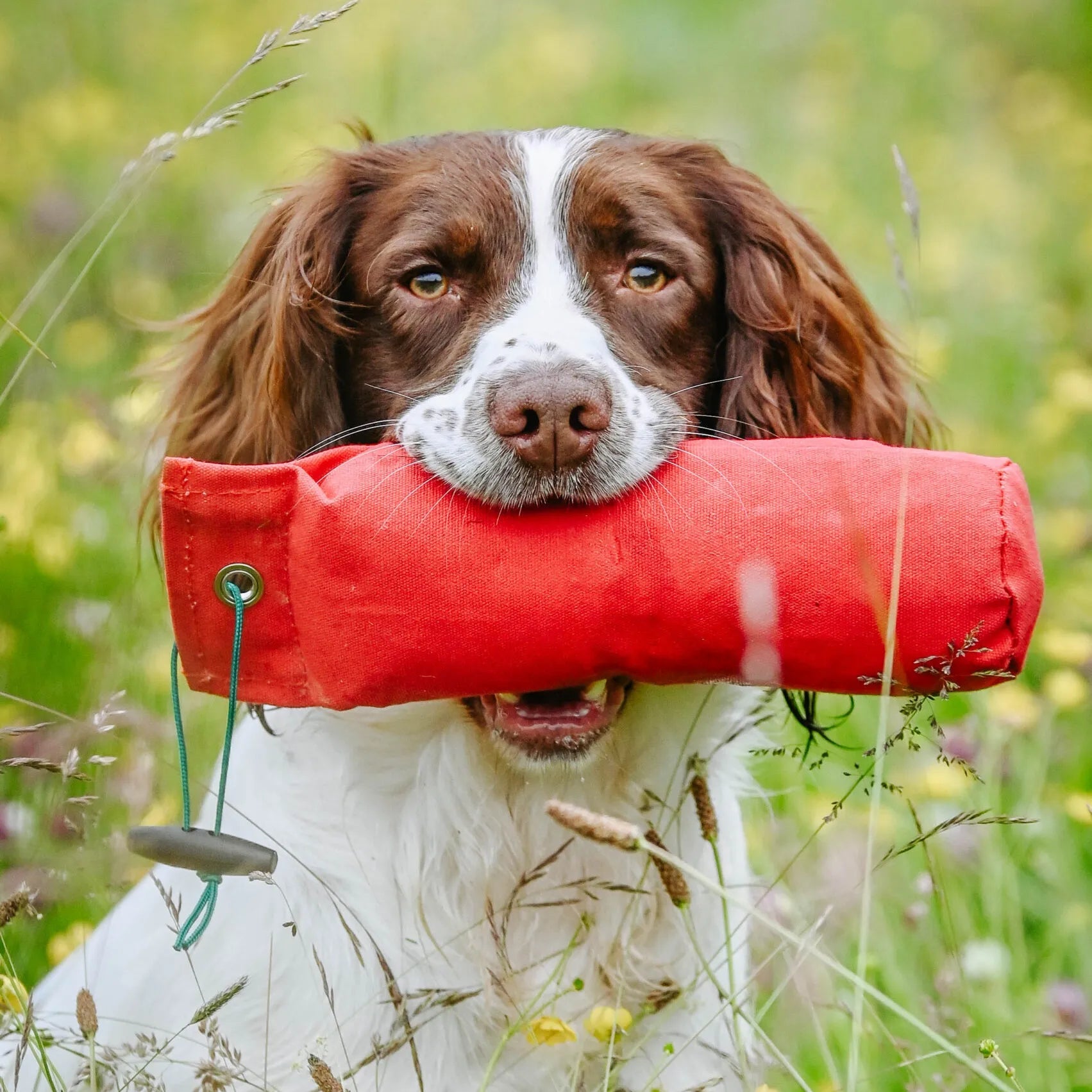 1lb Canvas Dummy (sporting Saint) - SnowPaw Store - Sporting Saint - Gun Dog Equipment