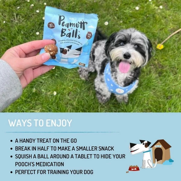 Peamutt Balls Dog Treats