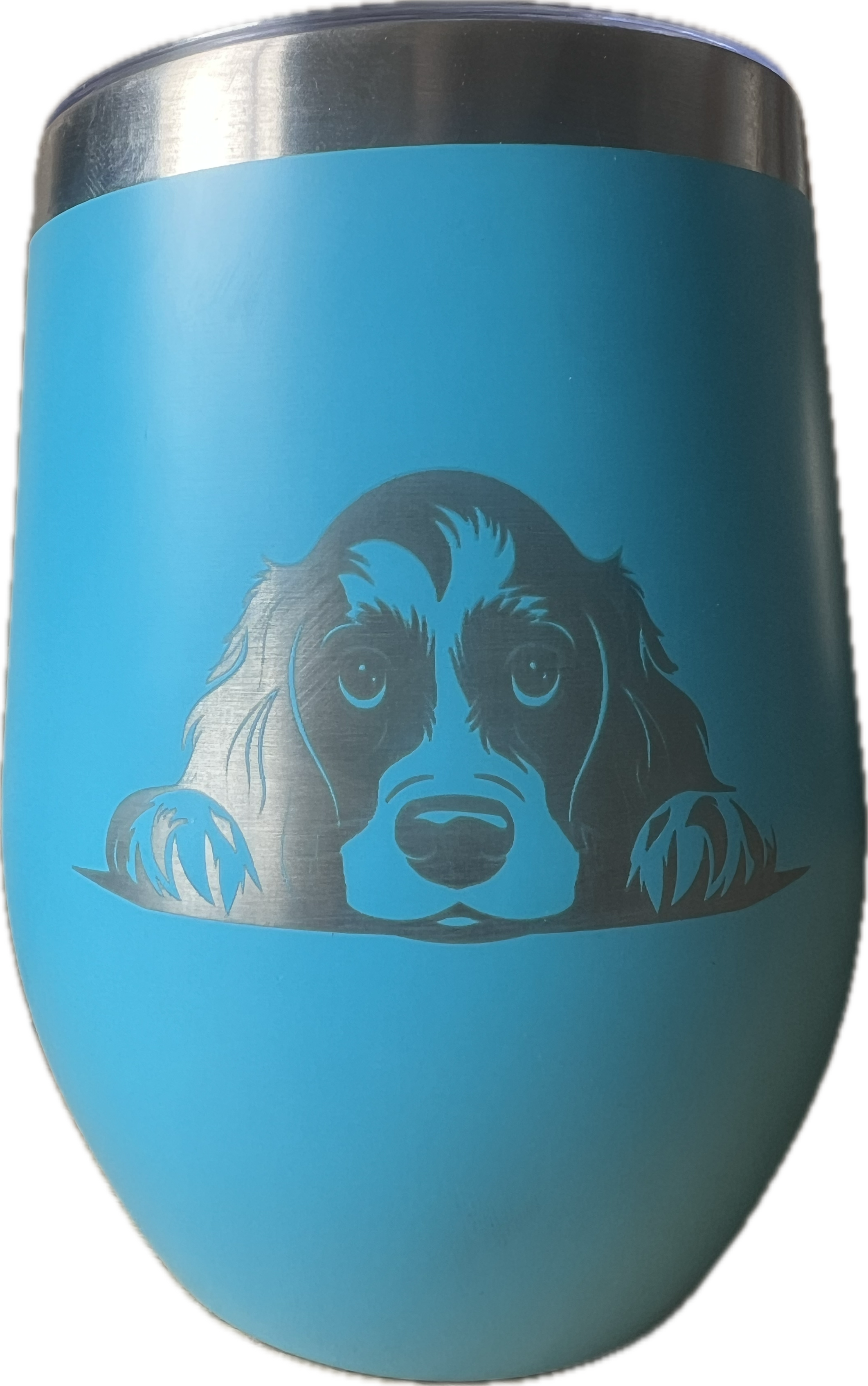SnowPaw Store