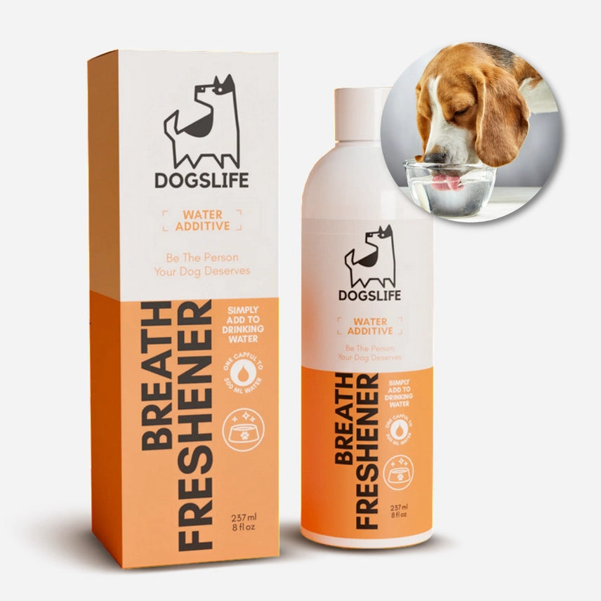 Dog Dental Water Additive (DogsLife)
