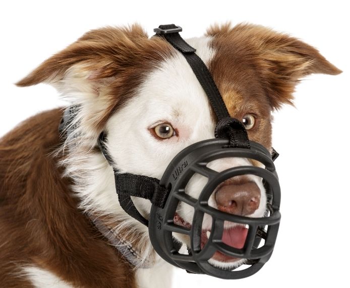 Ultra Basket Muzzle (Baskerville)