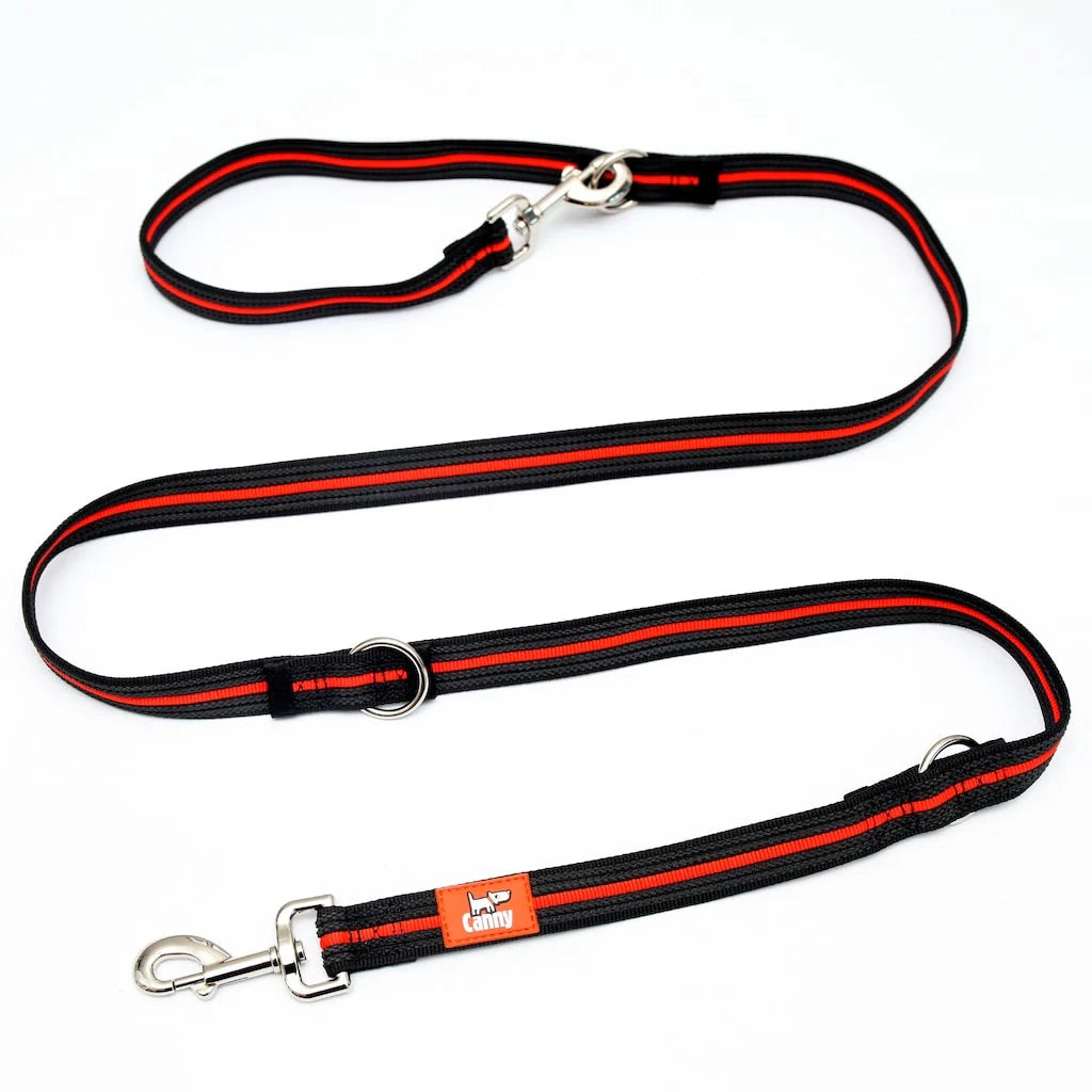 Training Lead (Canny Company)