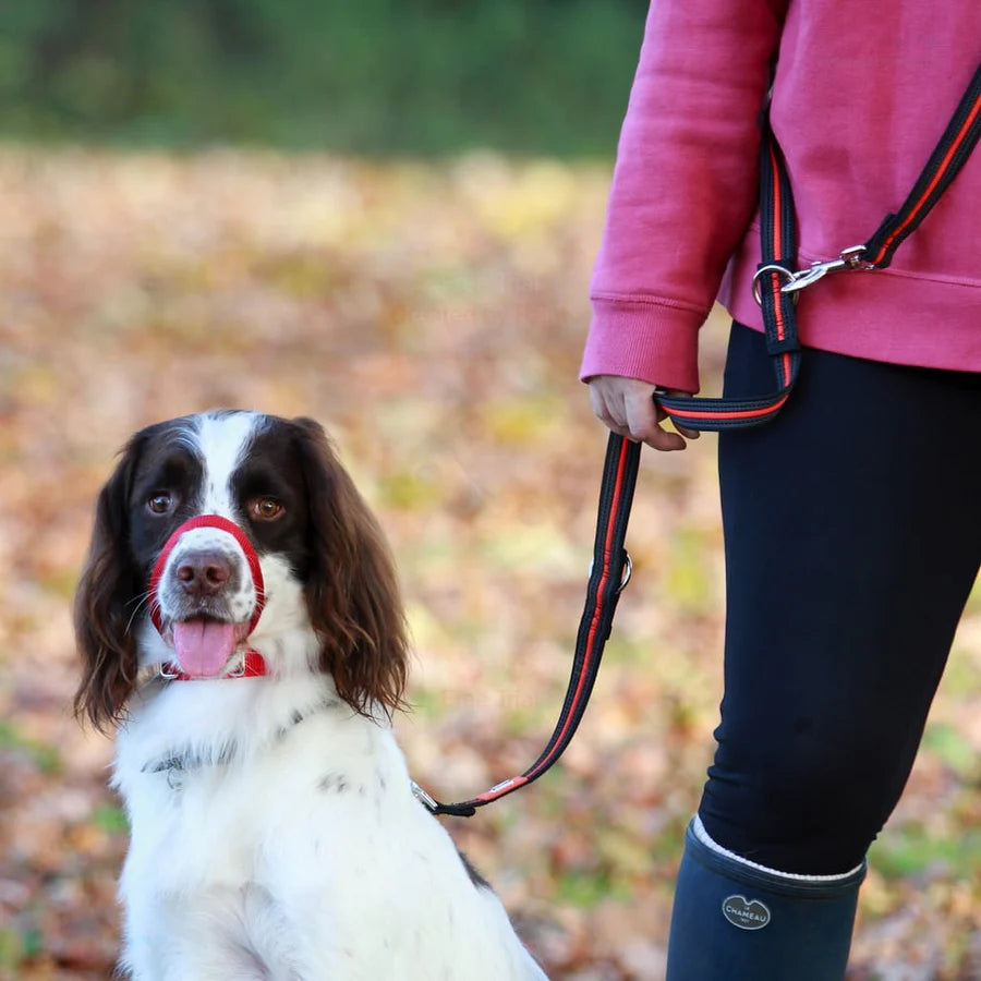 Training Lead (Canny Company)