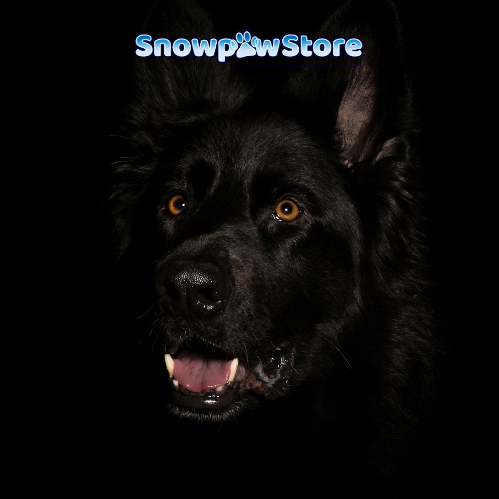 SnowPaw Store