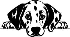 Personalised Thermal Tumbler Mug (SnowPaw Engraving)