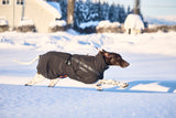 ***NEW*** Trekking Insulated Dog Jacket (Non-Stop Dogwear)