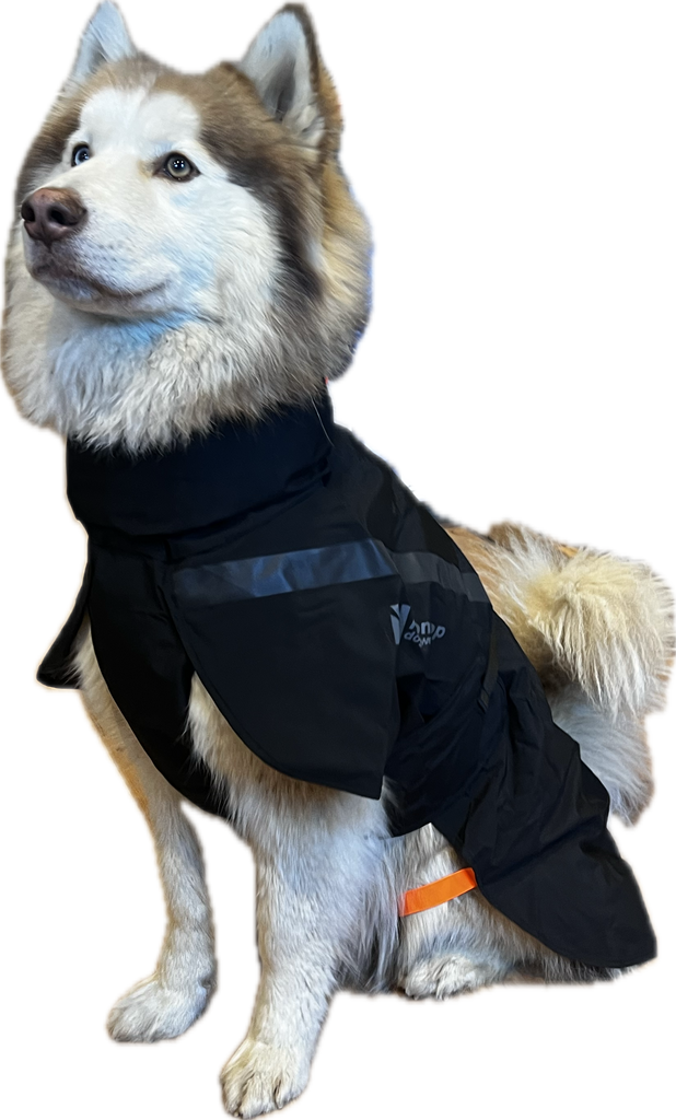 ***NEW*** Trekking Dog Raincoat (Non-Stop Dogwear) – SnowPaw Store