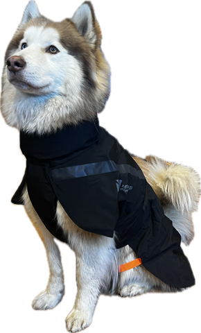 ***NEW*** Trekking Dog Raincoat (Non-Stop Dogwear)