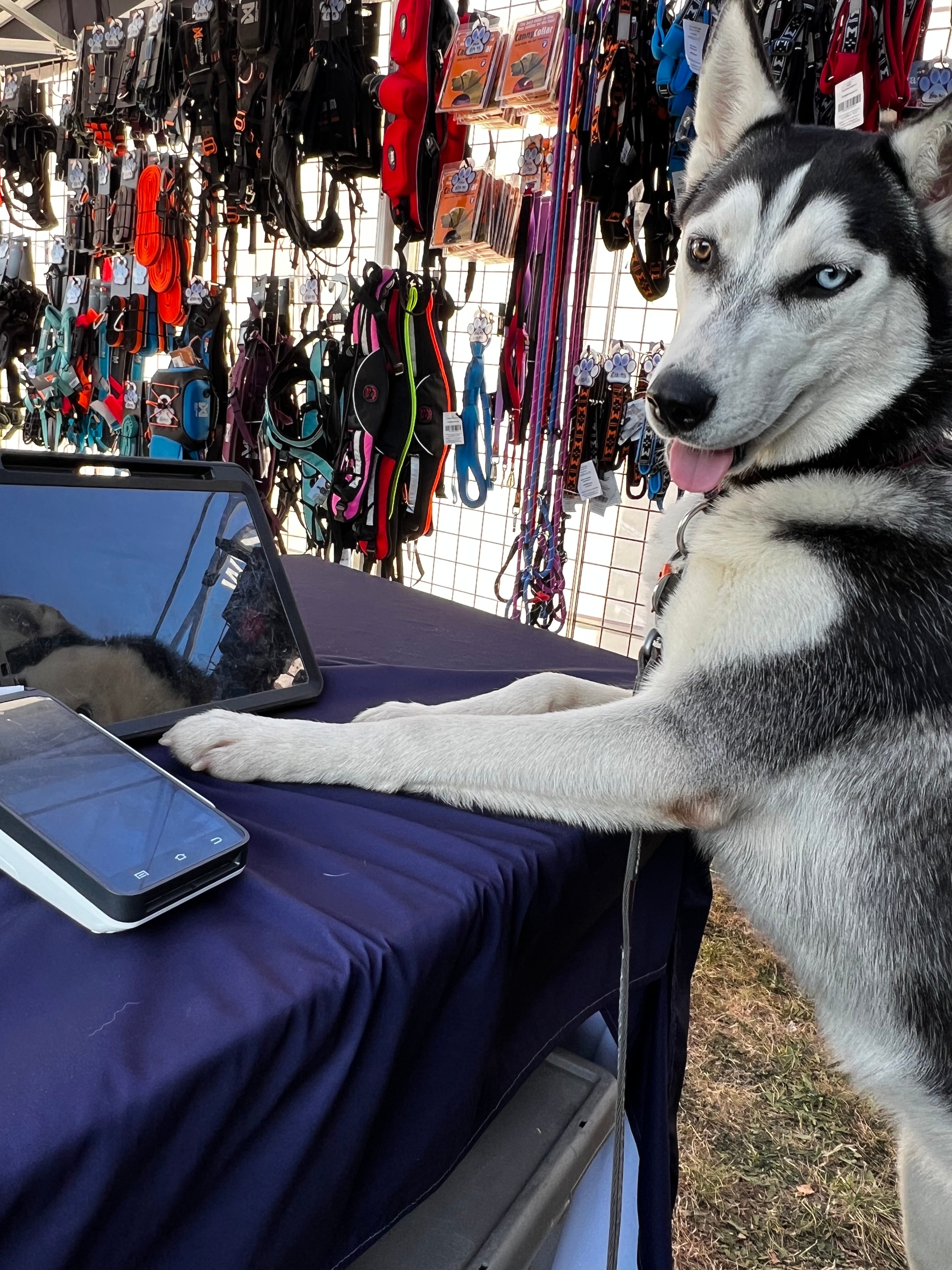 SnowPaw Store