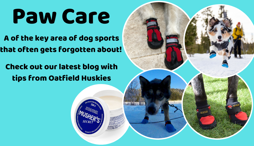 Mountain paw online pet supply