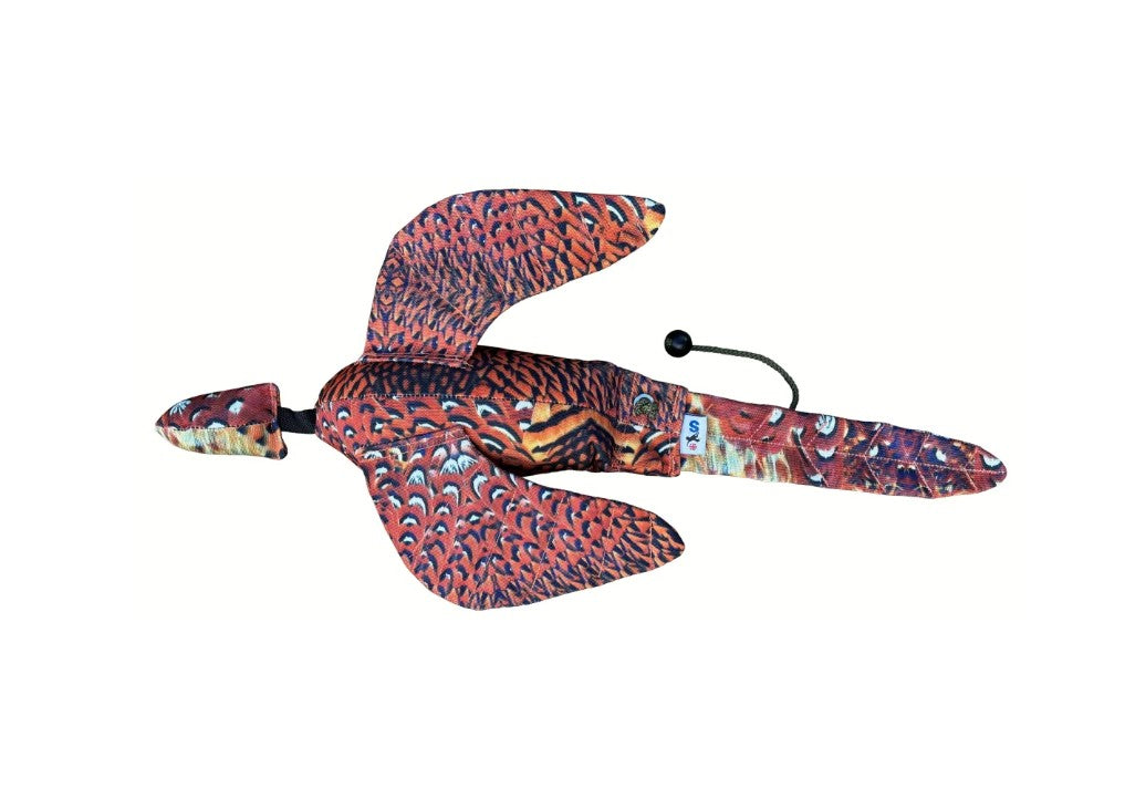 Colorful bird-shaped toy on a white background