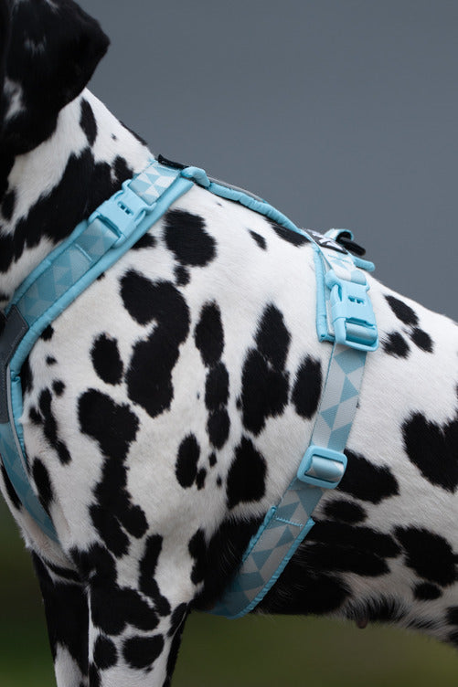***NEW***Trekking Line Harness CLIP'N (Non-Stop Dogwear)
