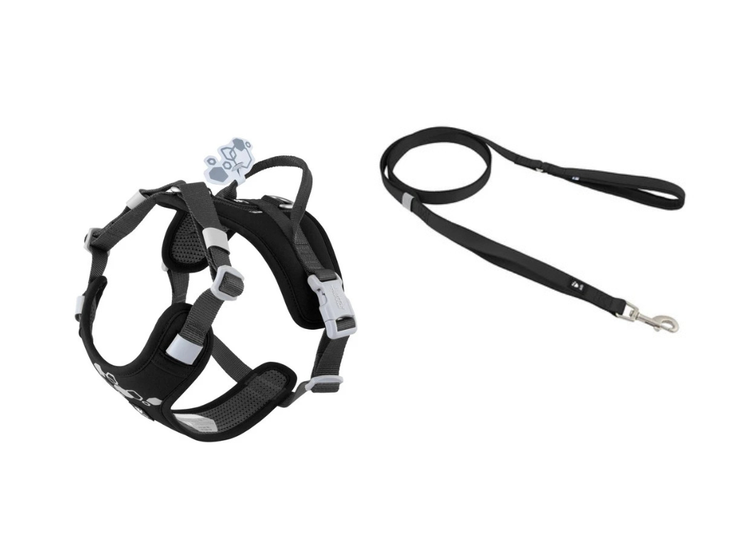 Weekend Warrior Harness & Lead (Hurtta)