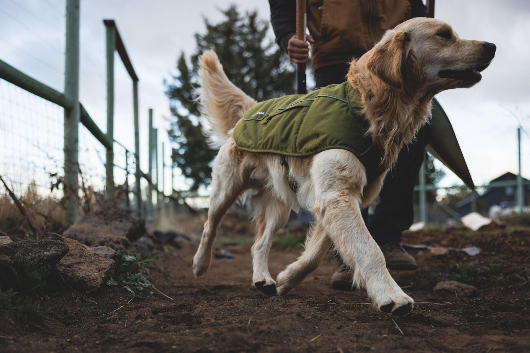 ***NEW*** Overcoat Fuse Insulated Vest (Ruffwear)