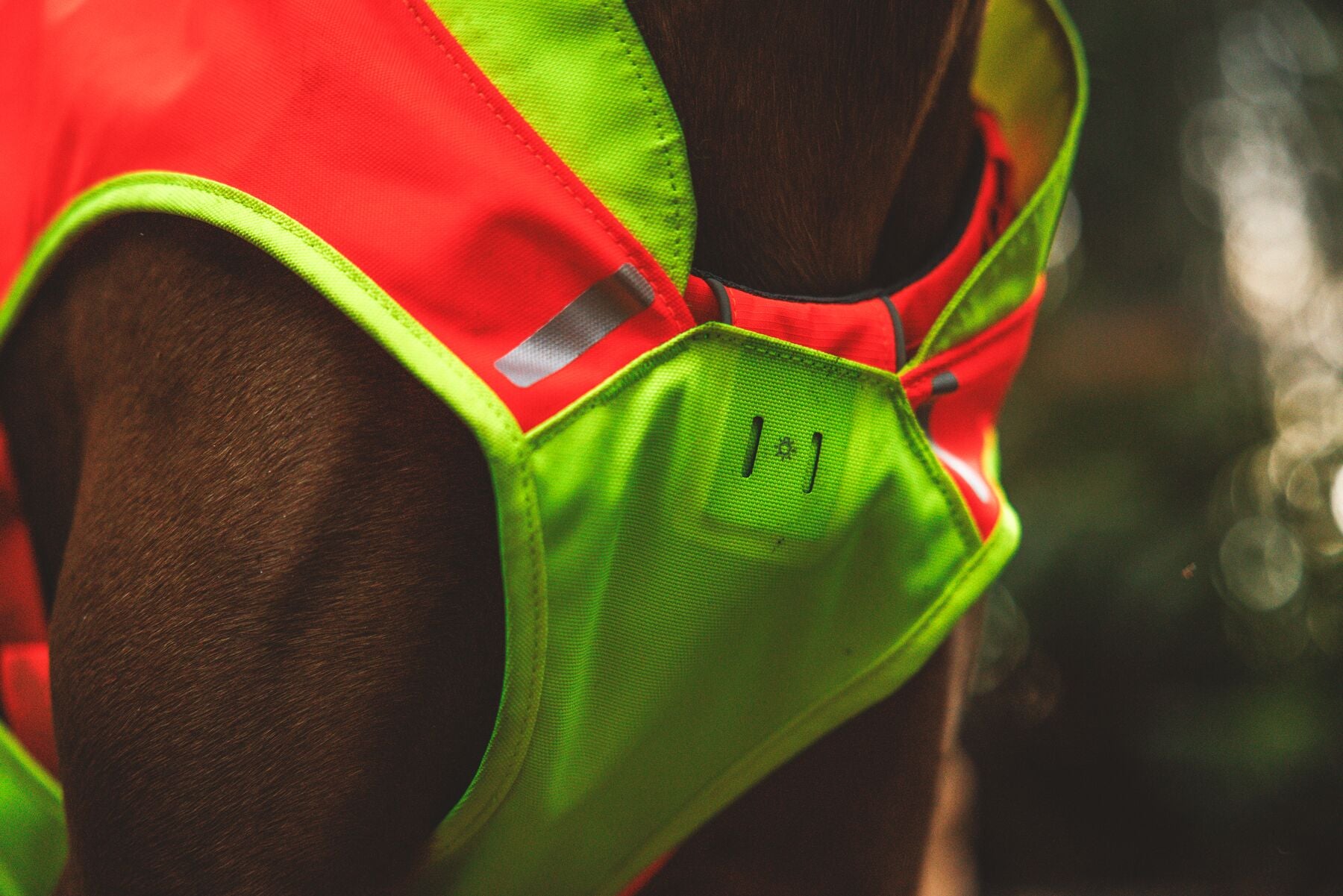 ***UPDATE FOR 2026***Lumenglow High-Vis Vest (Ruffwear)