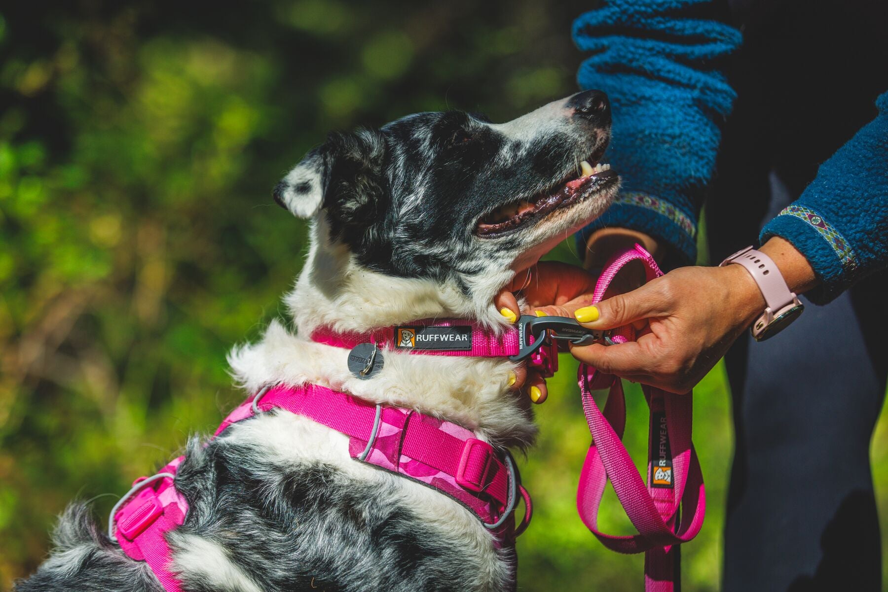 Front Range™ Lead (RuffWear)