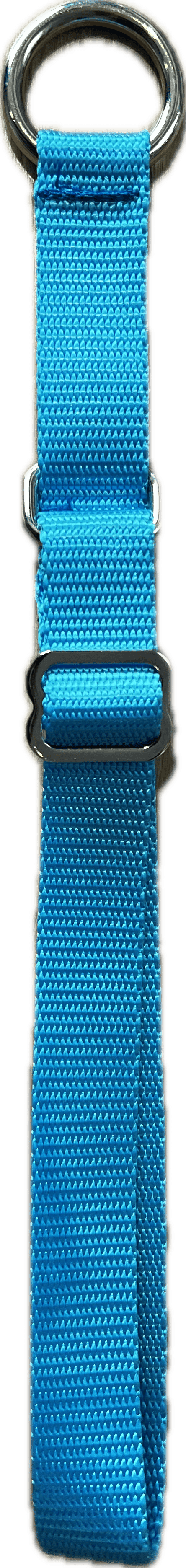 Alaskan Semi Slip Dog Collar - SnowPaw Store - Nordkyn - Dog Collars, Leads, Belts