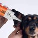 Anti Fungal Ear Cleaner (Dogslife) - SnowPaw Store - Dogslife - Food & Health
