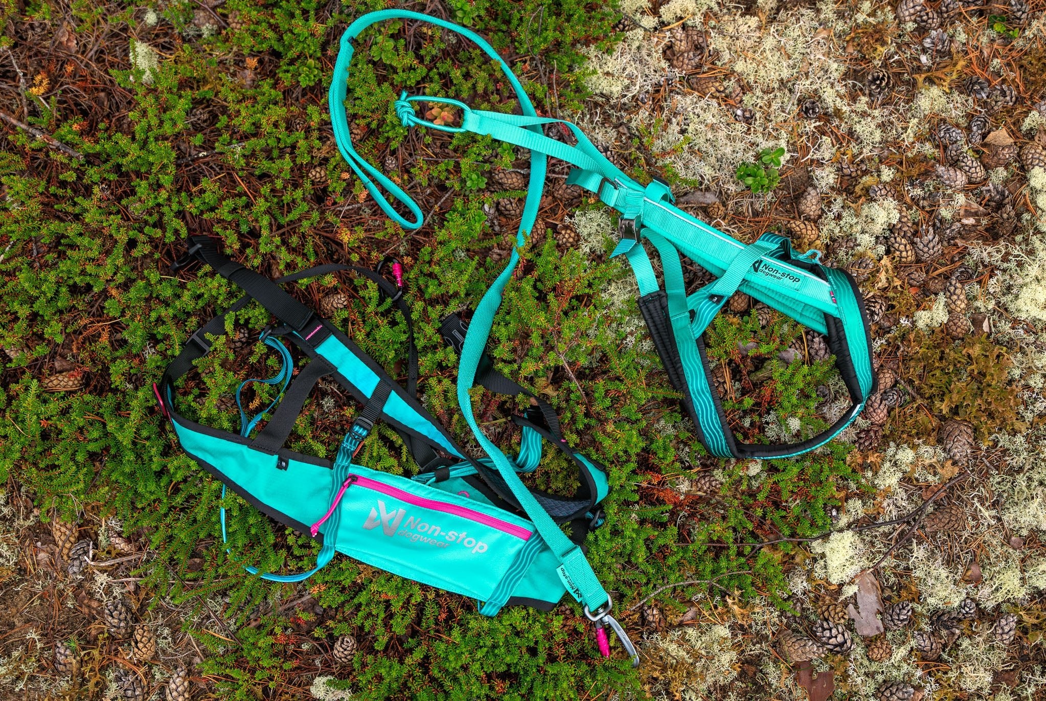 Aqua Canicross Kit (Non - Stop Dogwear) - SnowPaw Store - Non - Stop Dogwear - Canicross