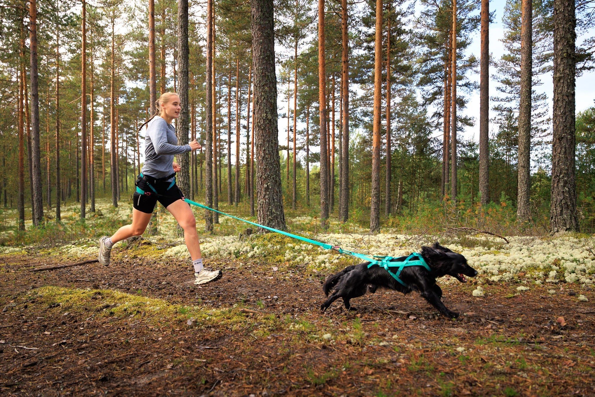 Aqua Canicross Kit (Non - Stop Dogwear) - SnowPaw Store - Non - Stop Dogwear - Canicross