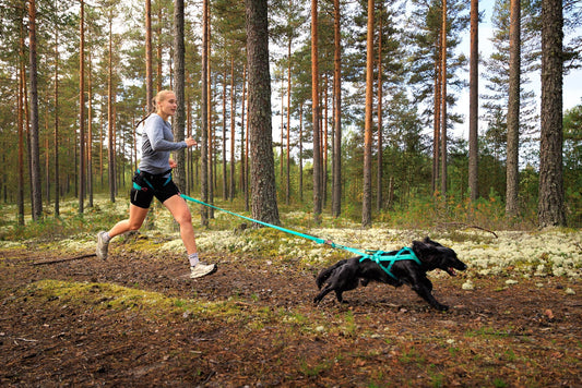 Aqua Canicross Kit (Non - Stop Dogwear) - SnowPaw Store - Non - Stop Dogwear - Canicross