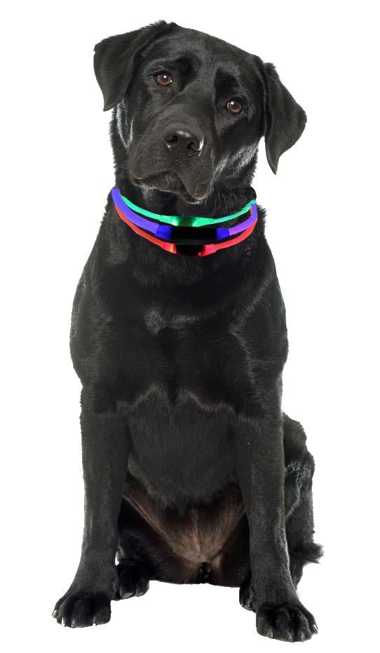 B - Seen LED Light Collar - SnowPaw Store - K9 Pursuits - Active Dog Gear