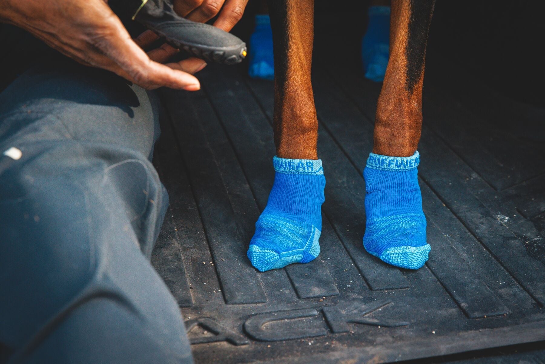 Bark'n Boots Dog Socks (Ruffwear) - SnowPaw Store - Ruffwear - Active Dog Gear