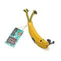 Barry the Banana(Green & Wilds) - SnowPaw Store - Green & Wilds - Dog Toys