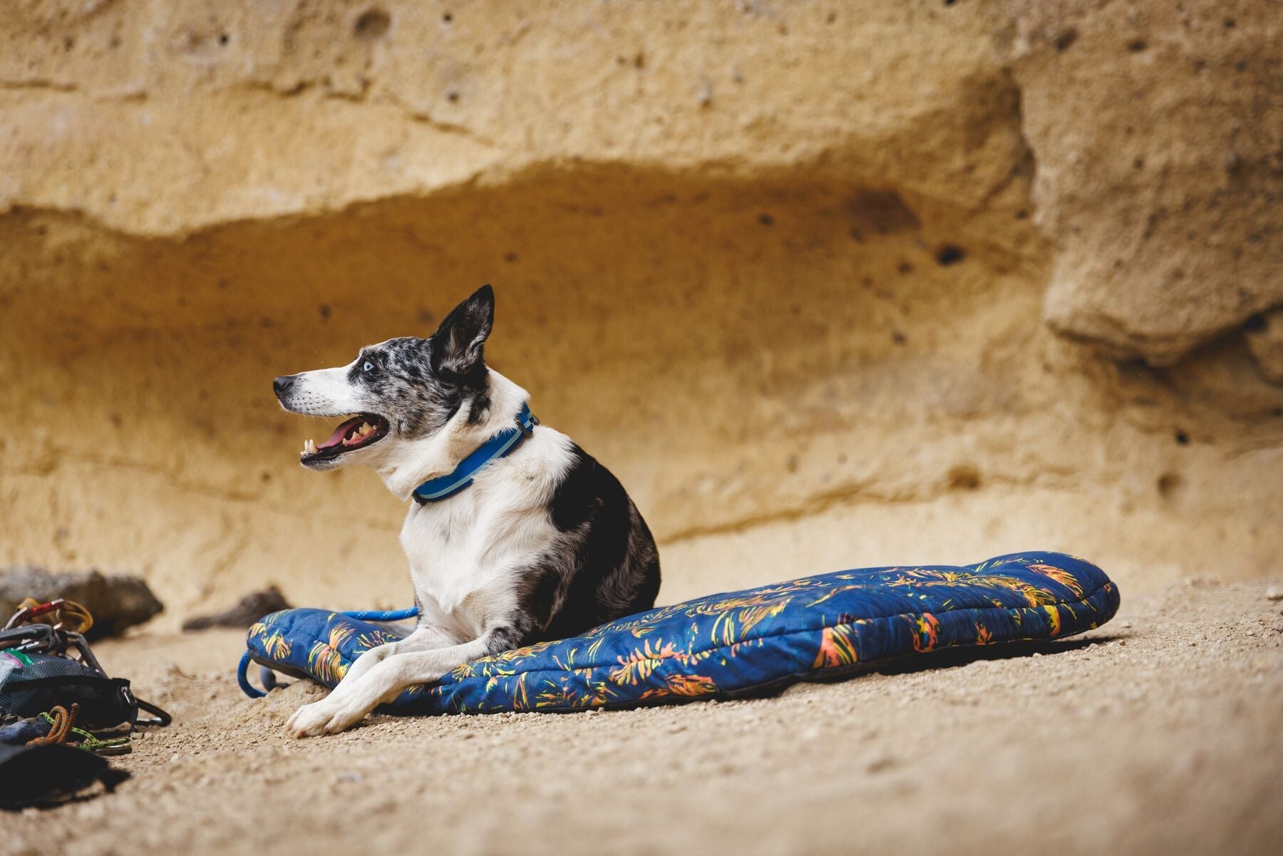 Basecamp™ Foldable Dog Bed (Ruffwear) - SnowPaw Store - Ruffwear - Active Dog Gear
