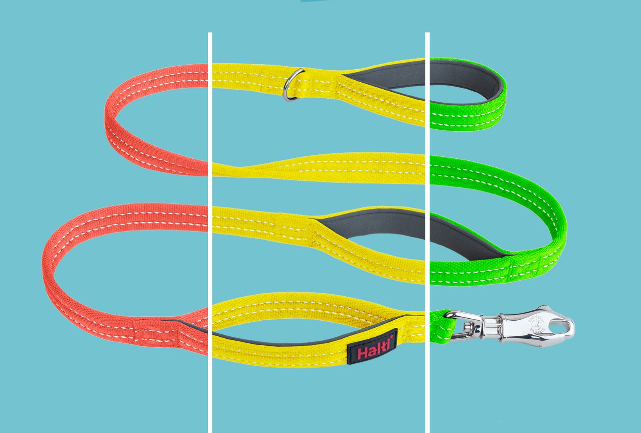 BRIG Safety Dog Lead (Halti) - SnowPaw Store - Halti - Dog Lead
