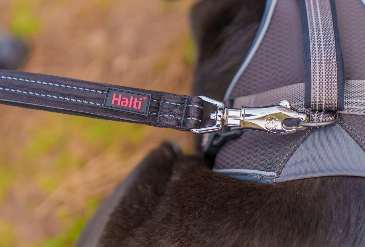 BRIG Safety Dog Lead (Halti) - SnowPaw Store - Halti - Dog Lead