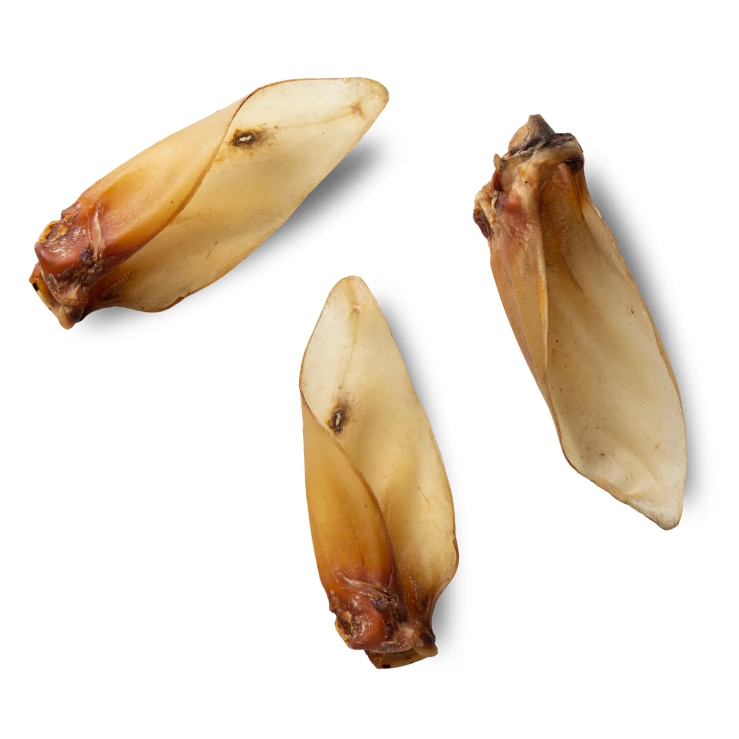 Buffalo Ears Large with meat (NAW) - SnowPaw Store - NAW - Dog Treats