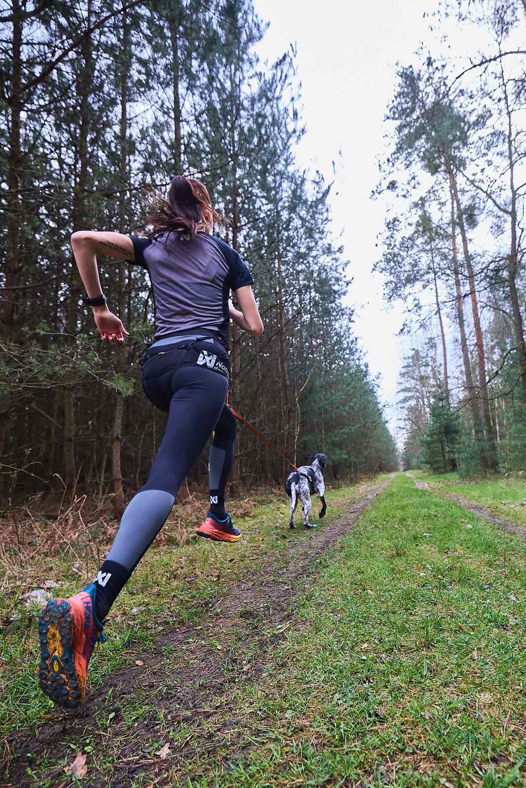 CaniX Belt Pro (Non - Stop Dogwear) - SnowPaw Store - Non - Stop Dogwear - Canicross