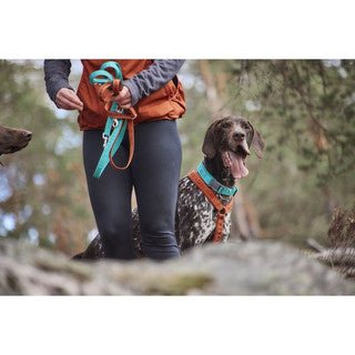 Casual Reflective Lead (Hurtta) - SnowPaw Store - Hurtta - Dog Collars, Leads, Belts
