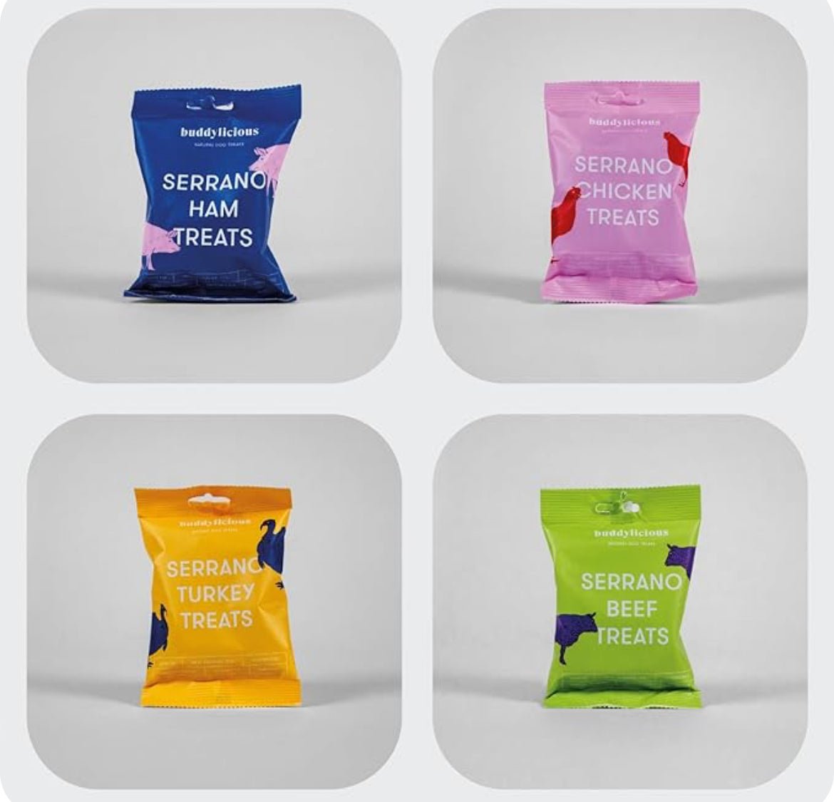 Christmas Treat Gift Tin (Buddylicious) - SnowPaw Store - Buddylicious - Dog Food