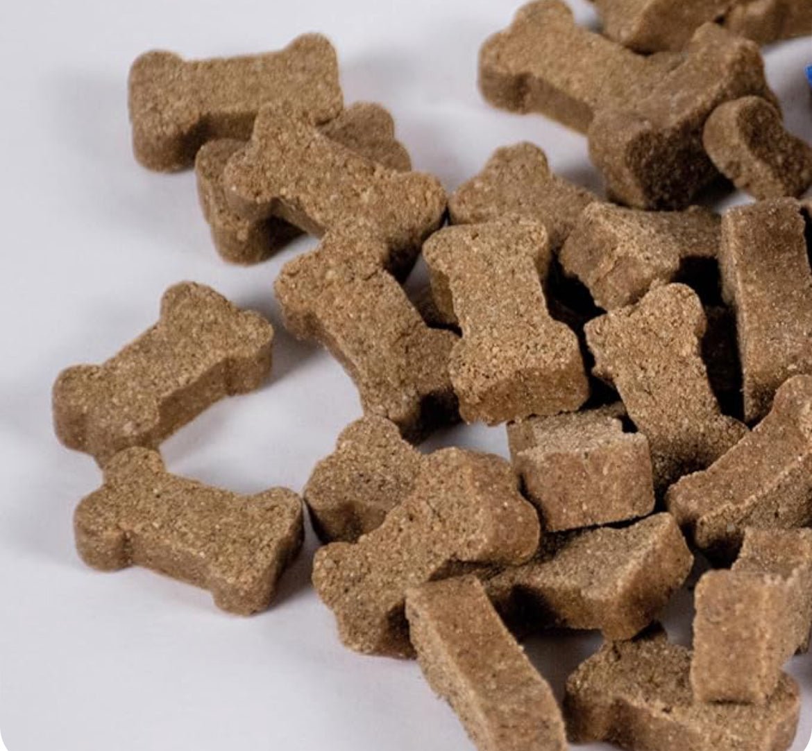 Christmas Treat Gift Tin (Buddylicious) - SnowPaw Store - Buddylicious - Dog Food