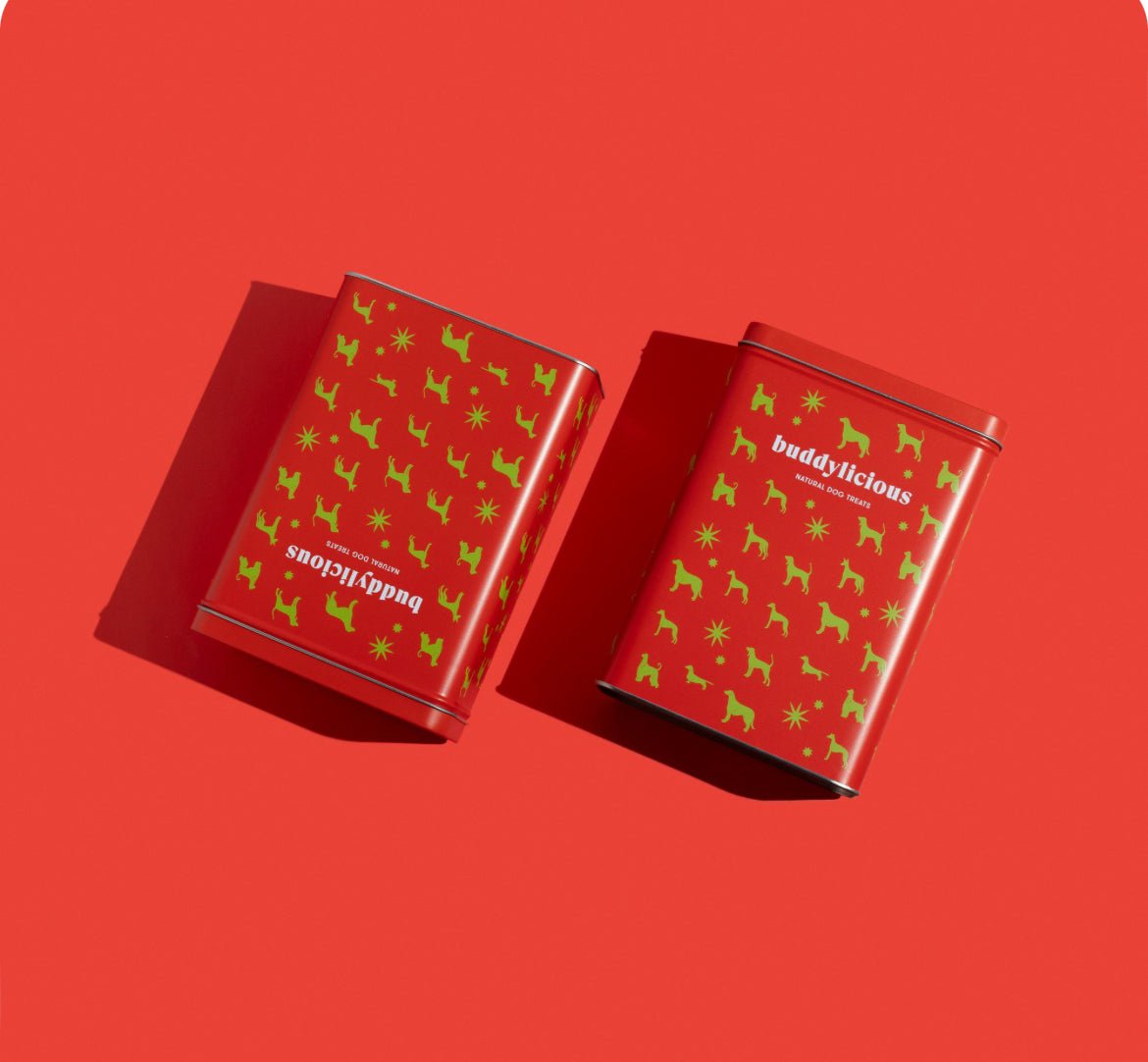 Christmas Treat Gift Tin (Buddylicious) - SnowPaw Store - Buddylicious - Dog Food