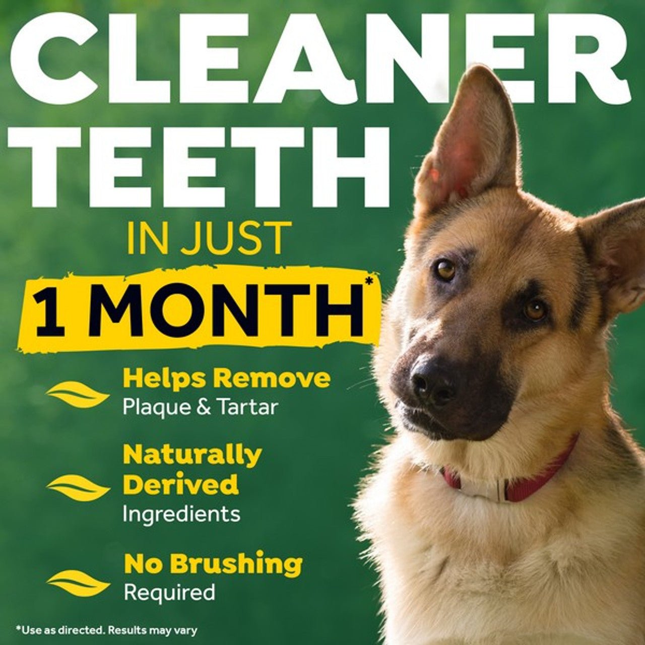 Clean Teeth Oral Care Gel - 59ml (TropiClean) - SnowPaw Store - TropiClean - Food & Health