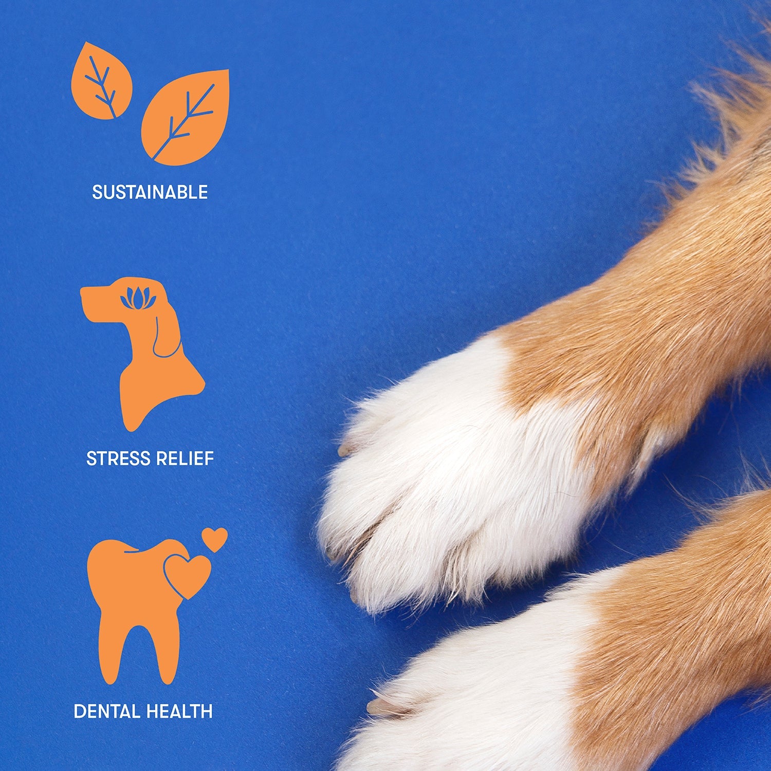 Coffee Wood Stick (Buddylicious) - SnowPaw Store - Buddylicious - Dog Food