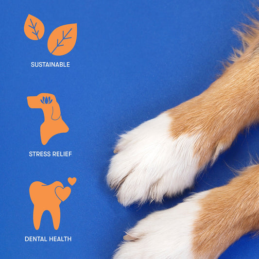 Coffee Wood Stick (Buddylicious) - SnowPaw Store - Buddylicious - Dog Food