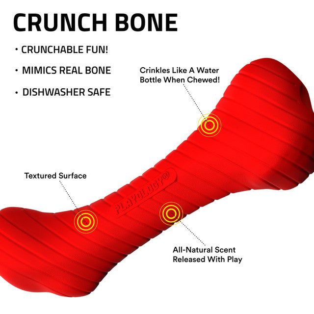Crunchy Femur Dog Toy (Playology) - SnowPaw Store - Playology - Dog Toys