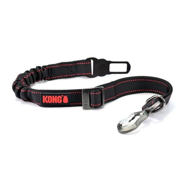 Deluxe Swivel Tether (KONG) - SnowPaw Store - KONG - Dog Lead