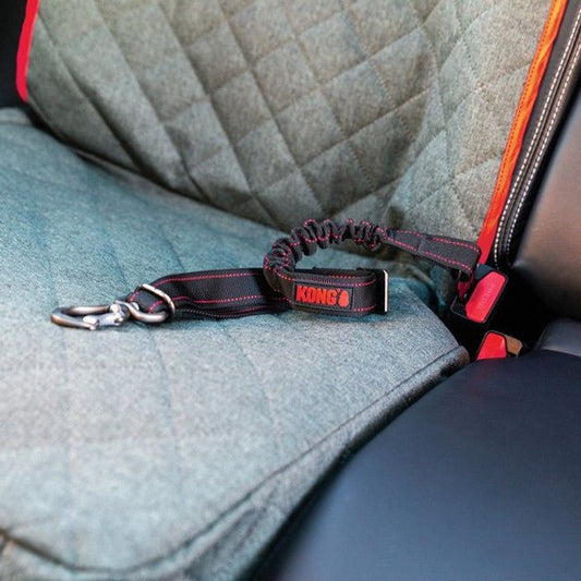 Deluxe Swivel Tether (KONG) - SnowPaw Store - KONG - Dog Lead