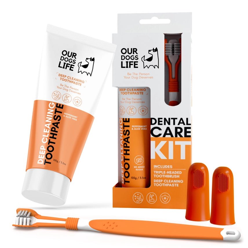 Dental Care Kit ( Our Dogs LIfe ) Toothpaste Brushes etc - SnowPaw Store - Dogslife - Food & Health