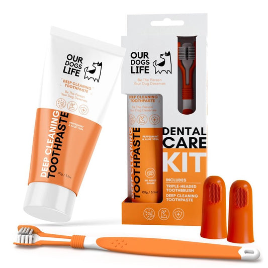 Dental Care Kit ( Our Dogs LIfe ) Toothpaste Brushes etc - SnowPaw Store - Dogslife - Food & Health