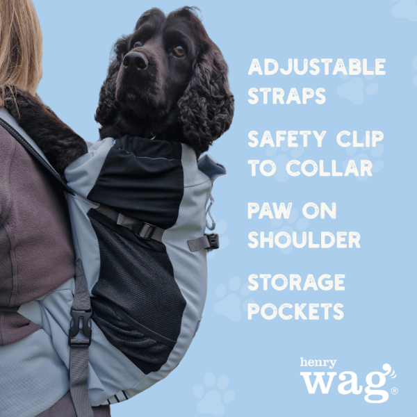 Dog Backpack – Forward Facing (Henry Wag) - SnowPaw Store - Henry Wag - Dog Apparel